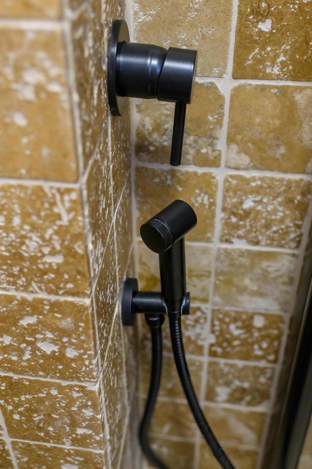 Five Stars Apartment تيميشورا المظهر الخارجي الصورة